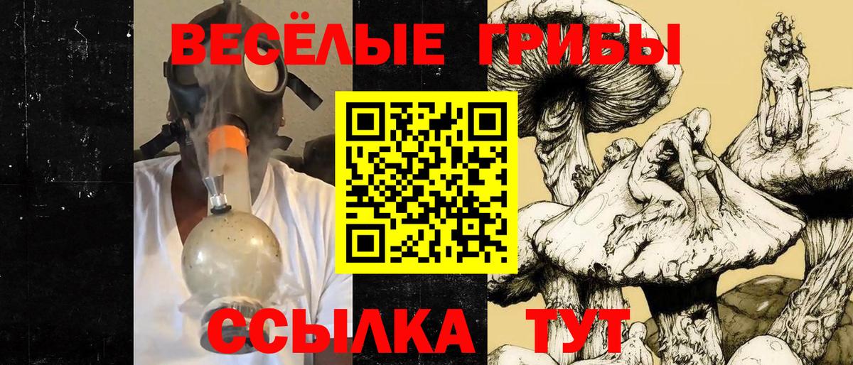 Галлюциногенные грибы мухоморы Владивосток