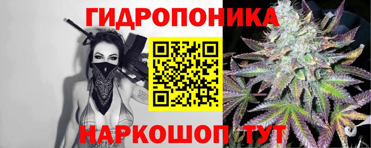 Марихуана White Widow Владивосток